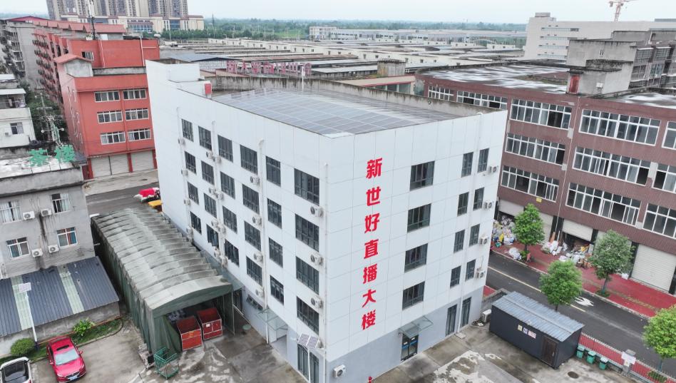 赵毅摄 (3)