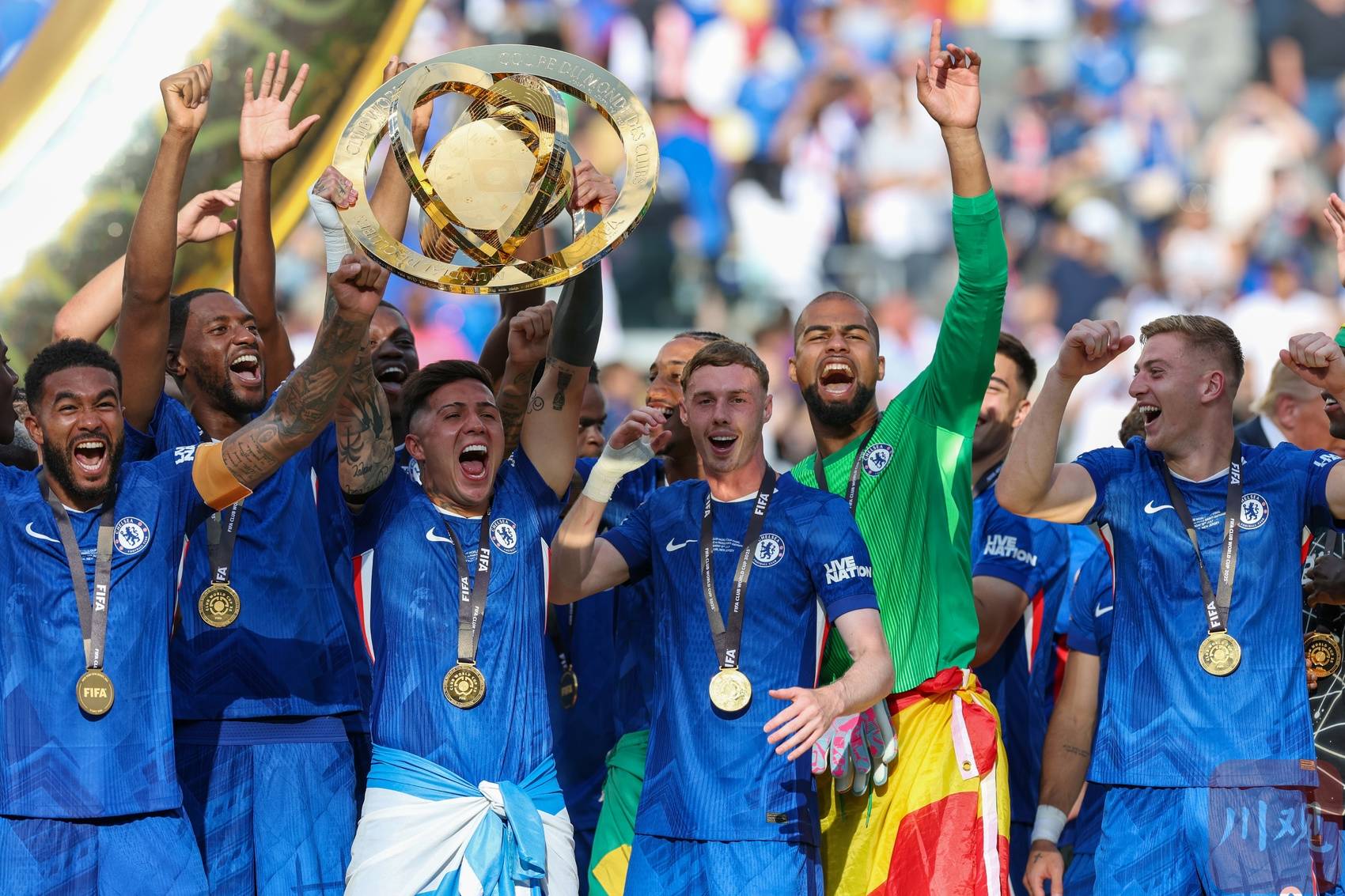 世界杯巴 西夺冠之 历史与技相关图片4