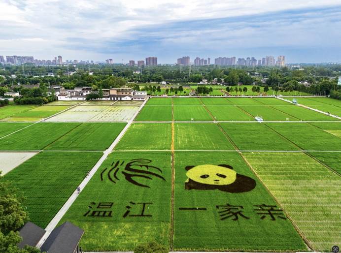 b9f155a4ec2a05ee098ef981256274ee