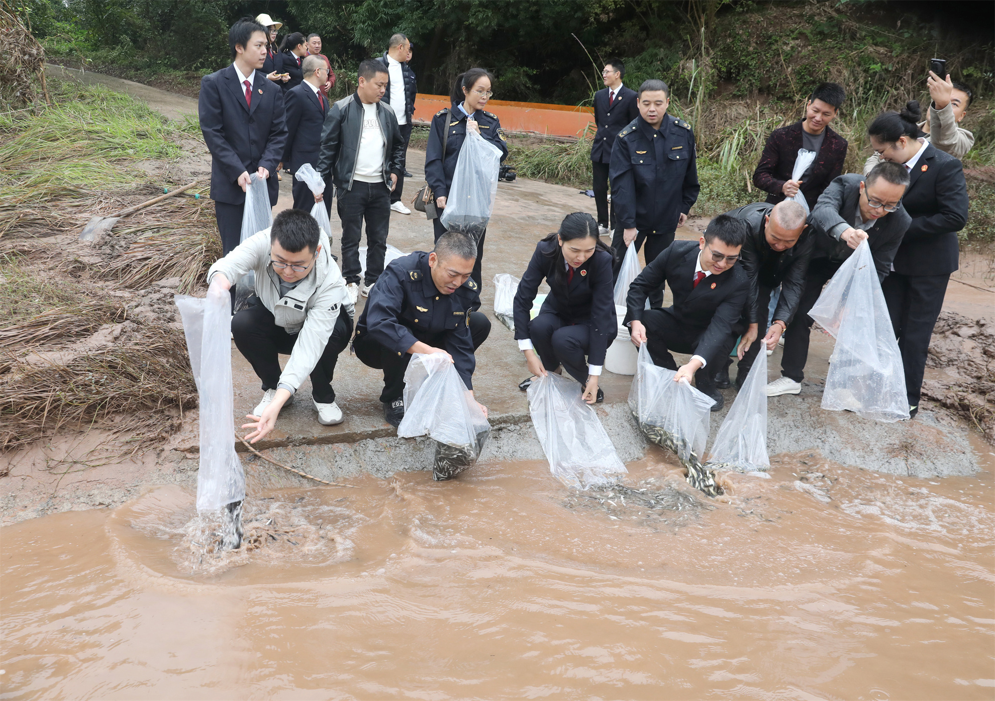 31.5萬尾珍稀魚苗躍入渠江