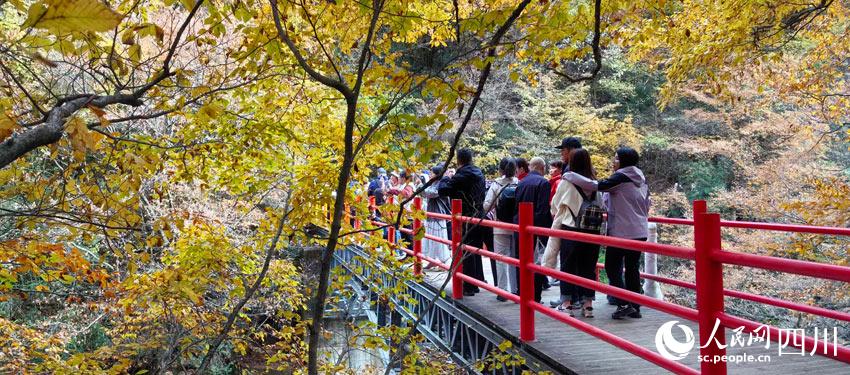 红叶景区美,人在画中游。人民网记者 刘海天摄