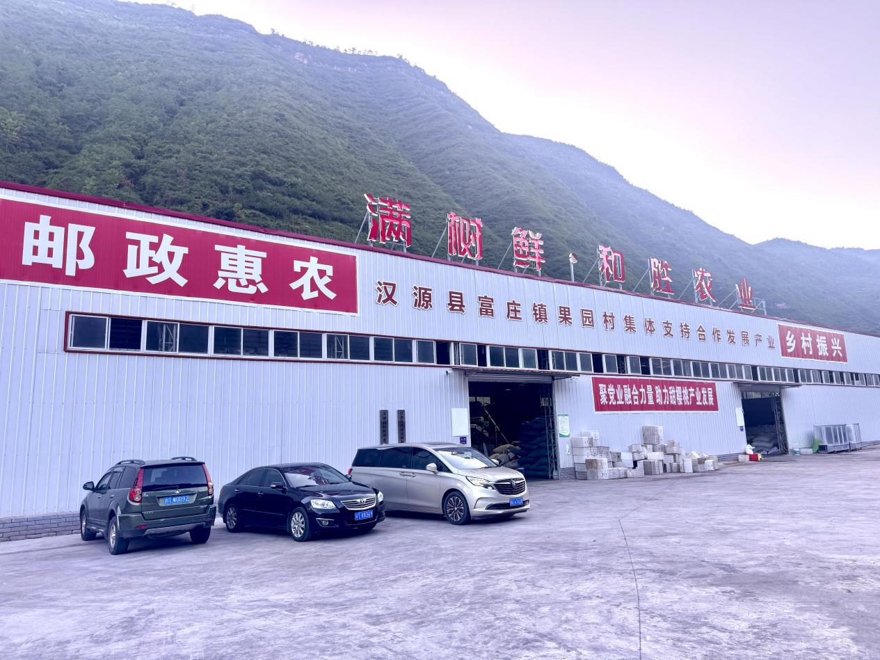 雅安5