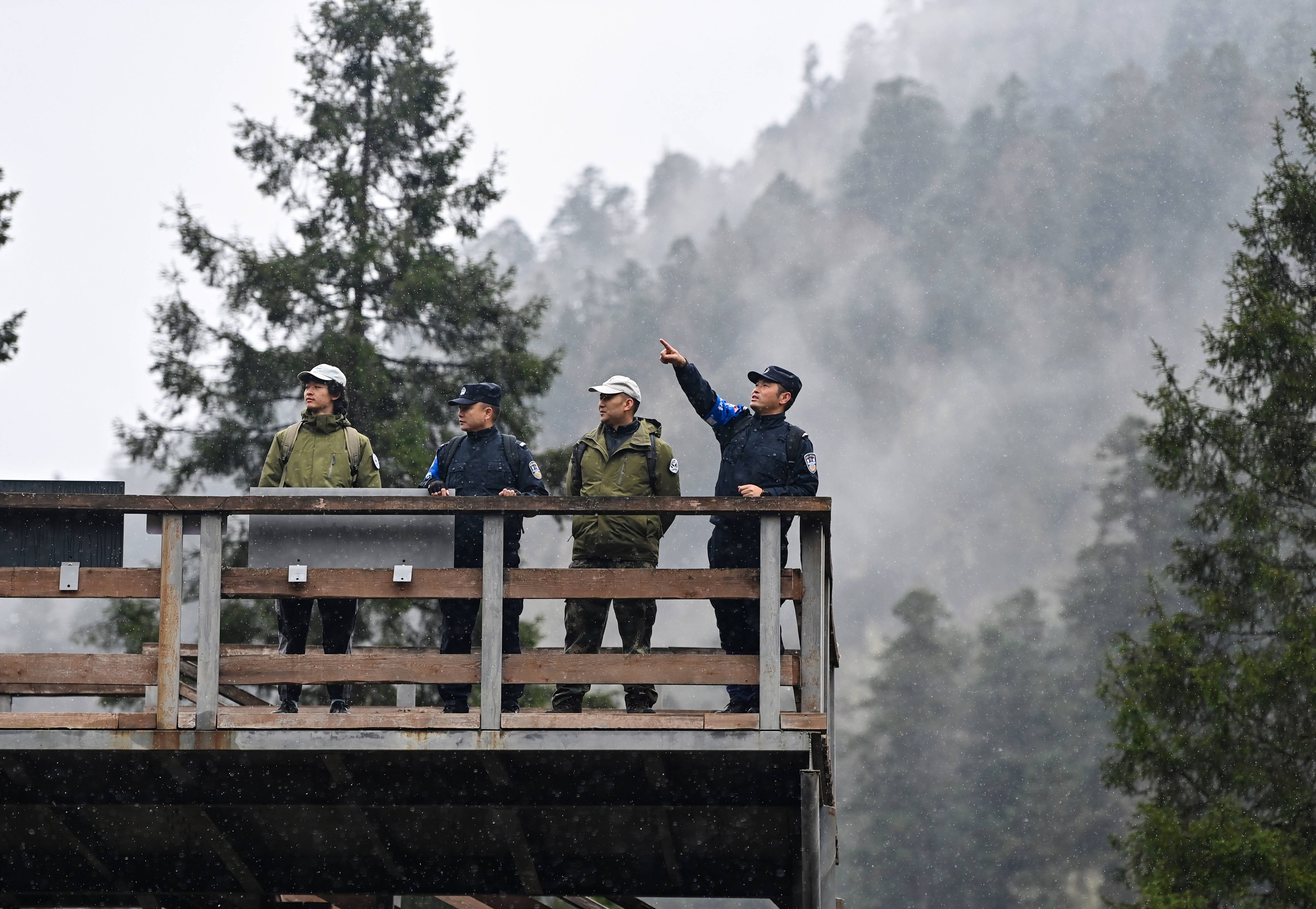 “熊猫警长”巡山了