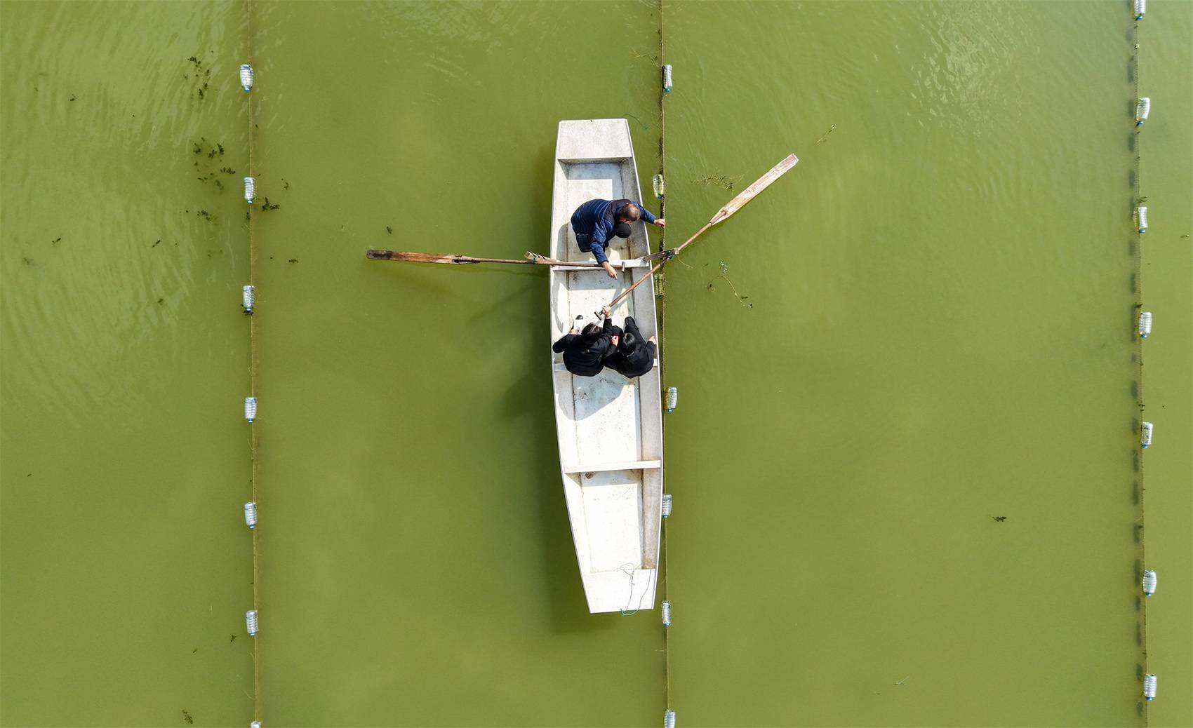 又到一年蟹肥时 稻香法庭护丰收