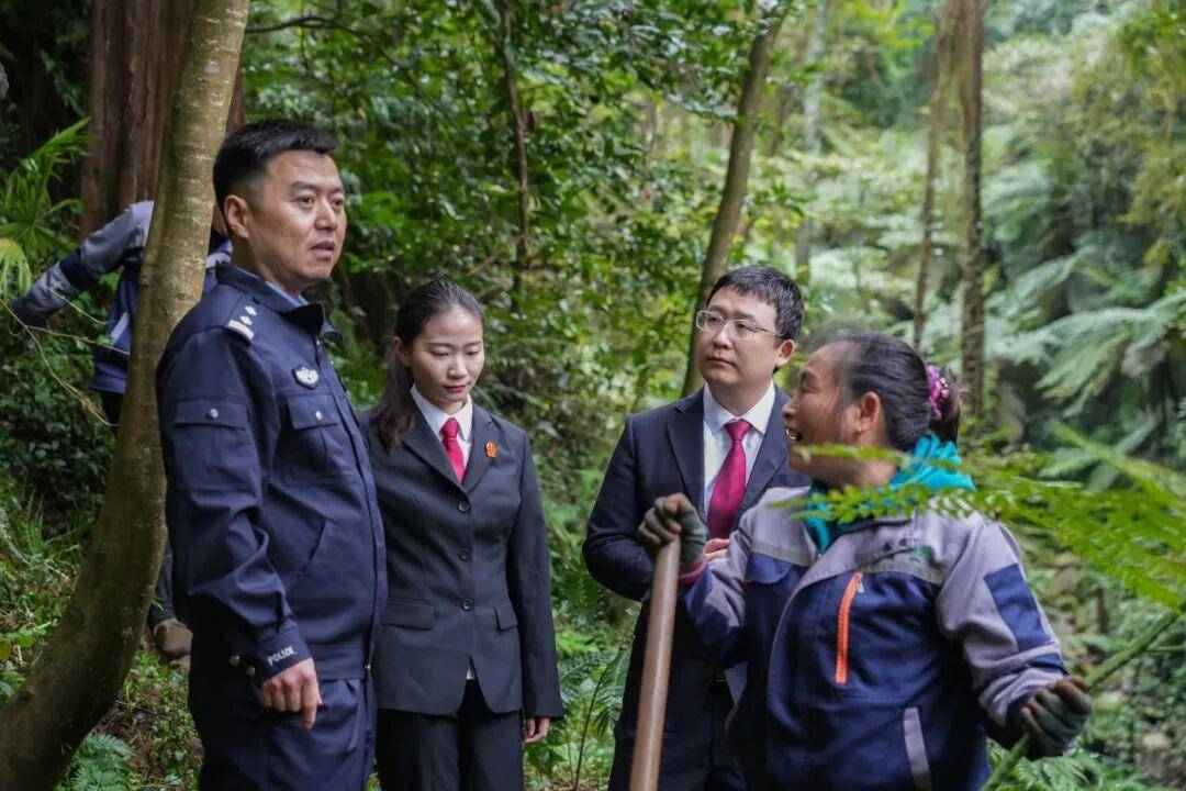105株珍稀植物回家了