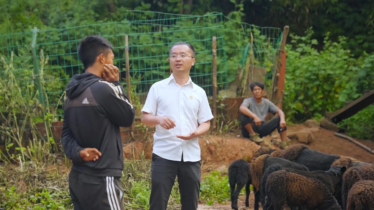 微信图片_20241011105605