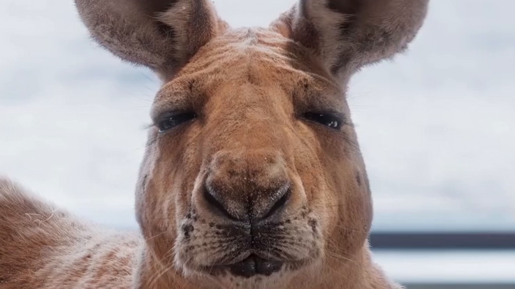 C视频｜十年磨一剑！墨境天合特效总监亲述：如何打造《流浪地球2》《哪吒2》的视觉奇迹