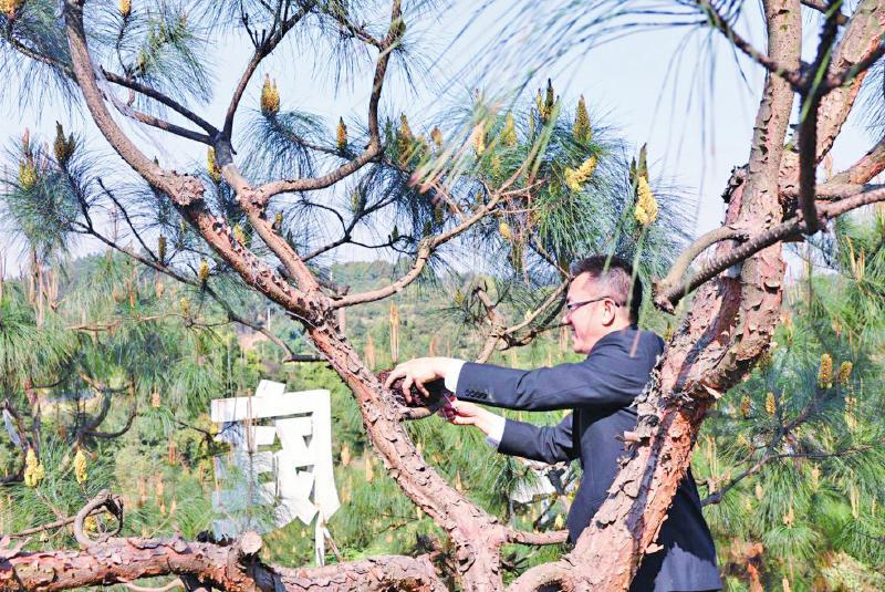 富顺法官上春山 为鸟儿装上&ldquo;生态鸟巢&rdquo;