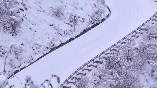 原上草|彭闯：岁月偷不走的热爱