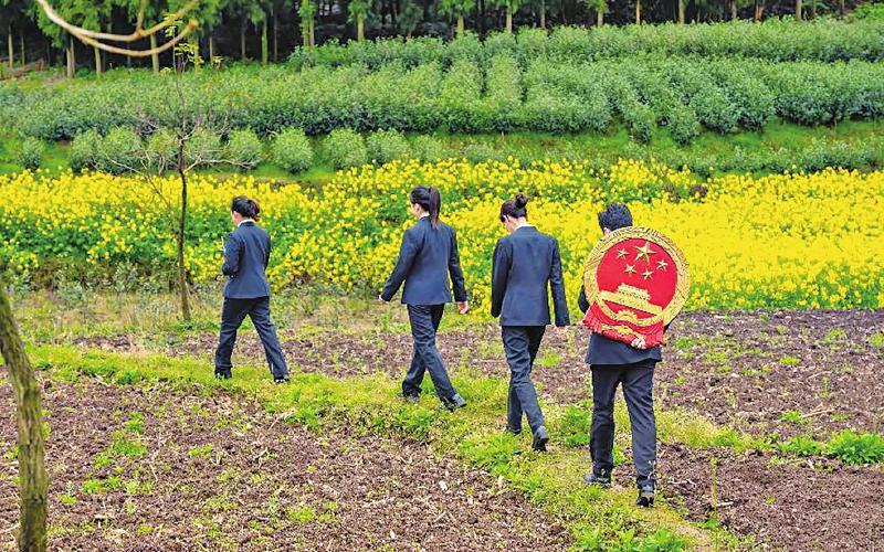 法庭&ldquo;搬&rdquo;到千年古梯田上
