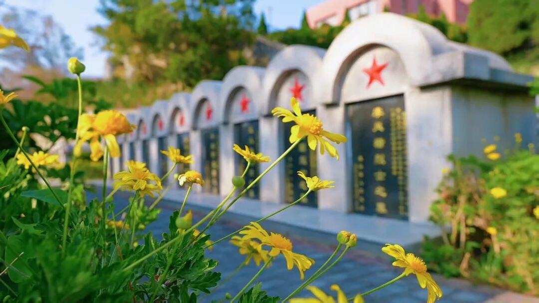 转发扩散！四川三座烈士陵园为30位英烈寻亲