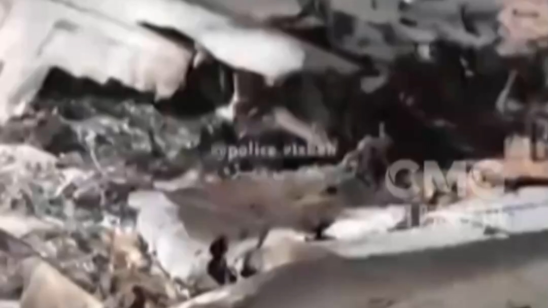 视频丨伊朗公布对执行营救美军机开火画面