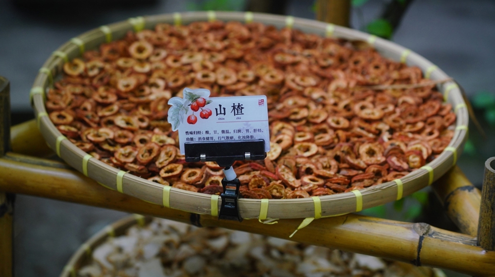 杜甫草堂新增药圃，藏着诗圣的&ldquo;自留地&rdquo;