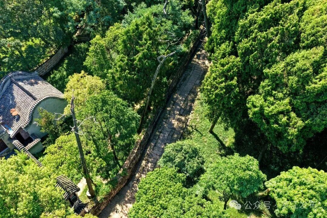 DJI_20260831112734_0307_D_副本.jpg